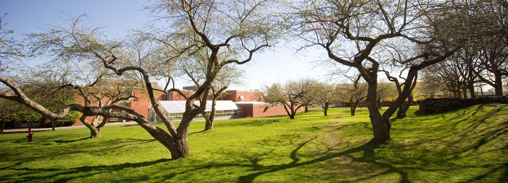 Beautiful apple trees located between Green Hall and greenhouse and our Hartness Library on the Randolph Center campus.