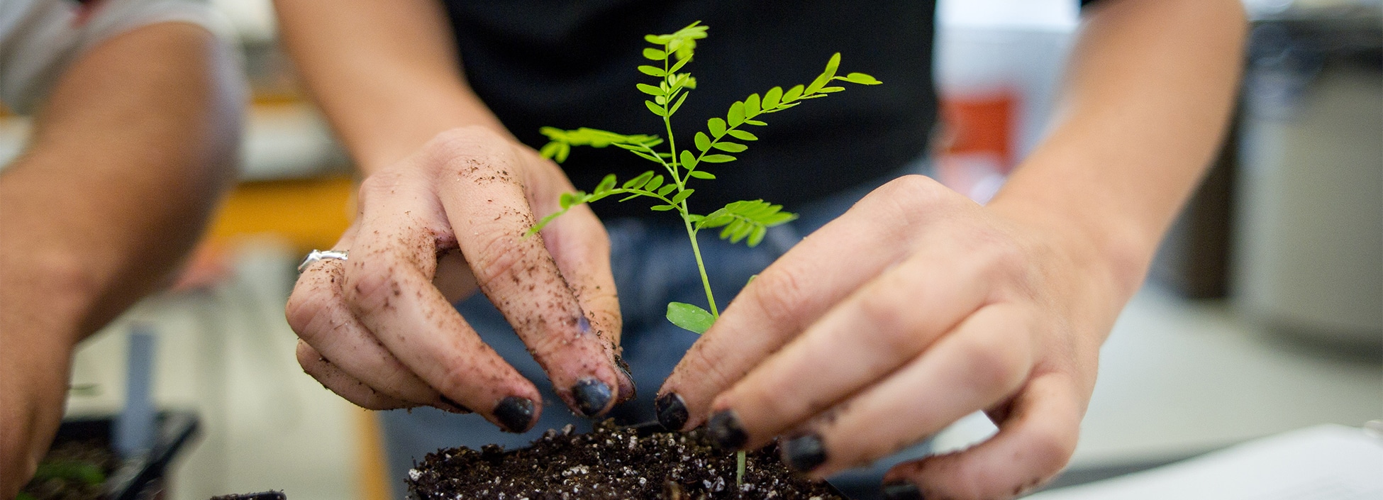 A student plants a seedling ensuring proper drainage in soil is imperative to plant survival, hands on, lab, Randolph Center campus