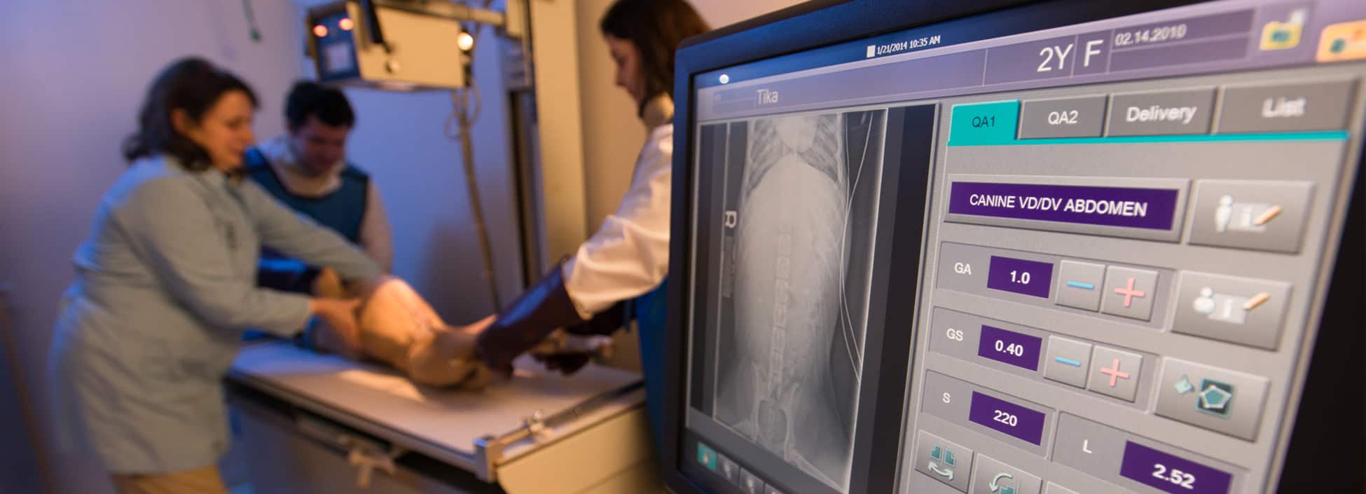 Veterinary Technology students work with a dog in the Vet Tech lab on the Randolph Center Campus, xray, veterinary technology