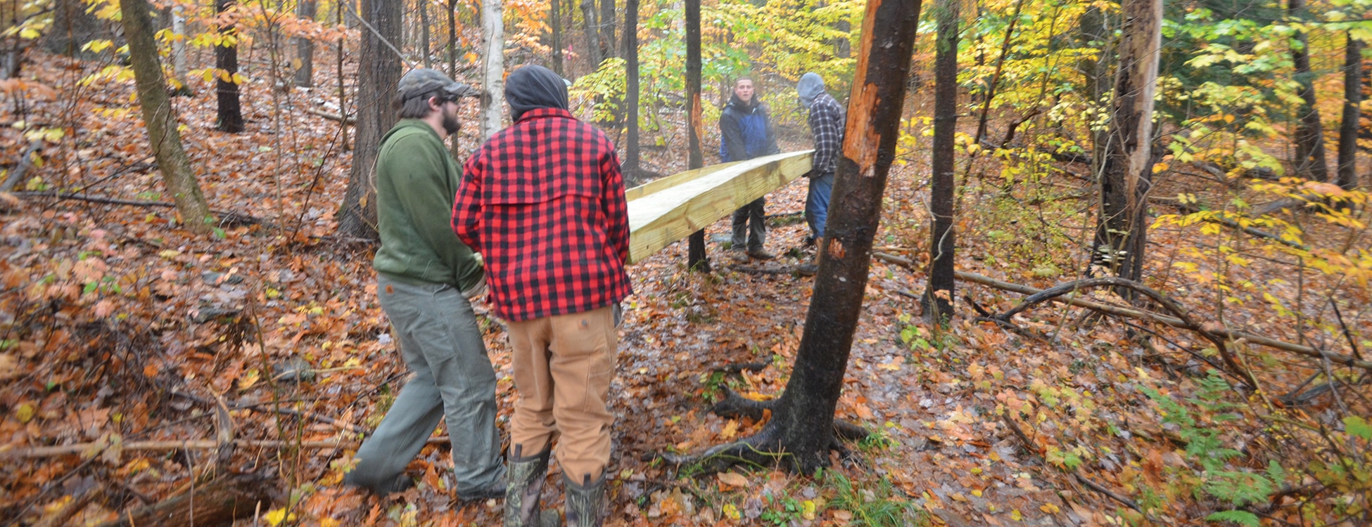 Hubbard Park, trail bridge, students working, teamwork, building