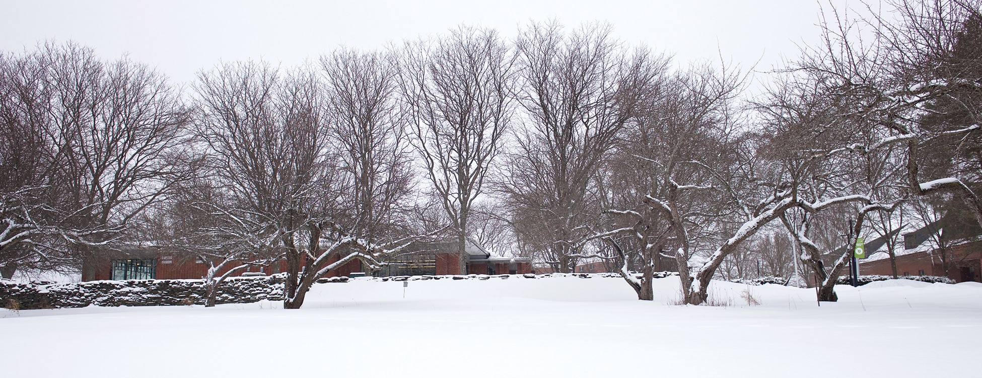 winter, snow, Randolph Center campus