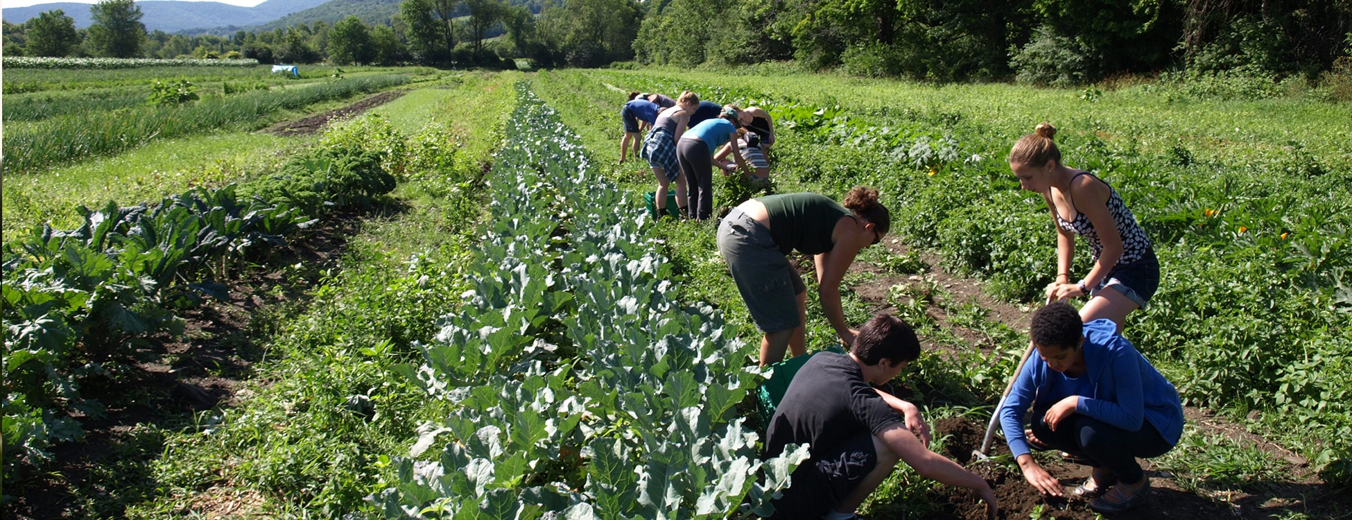 Students working in a garden, Randolph Center Campus