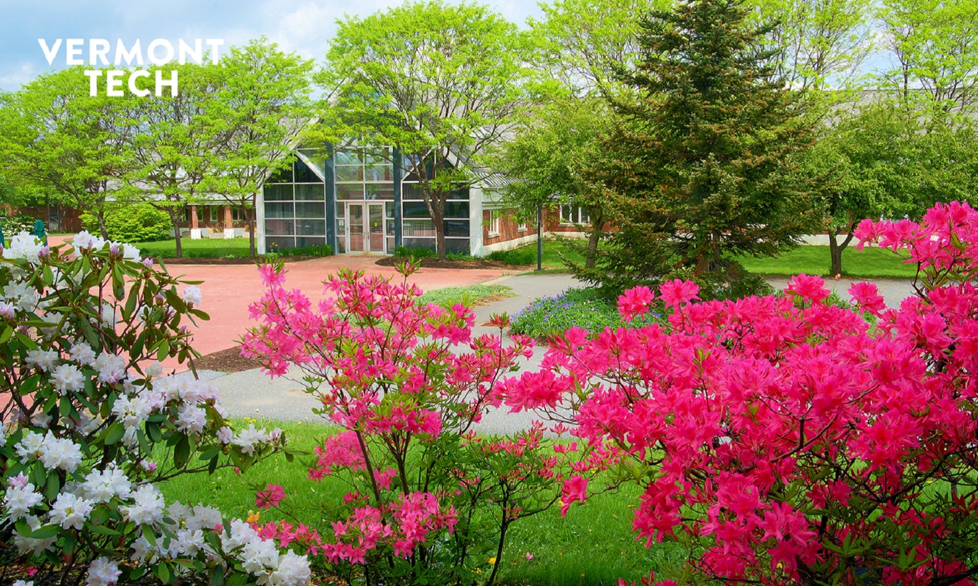 spring, flowers, Randolph Center campus