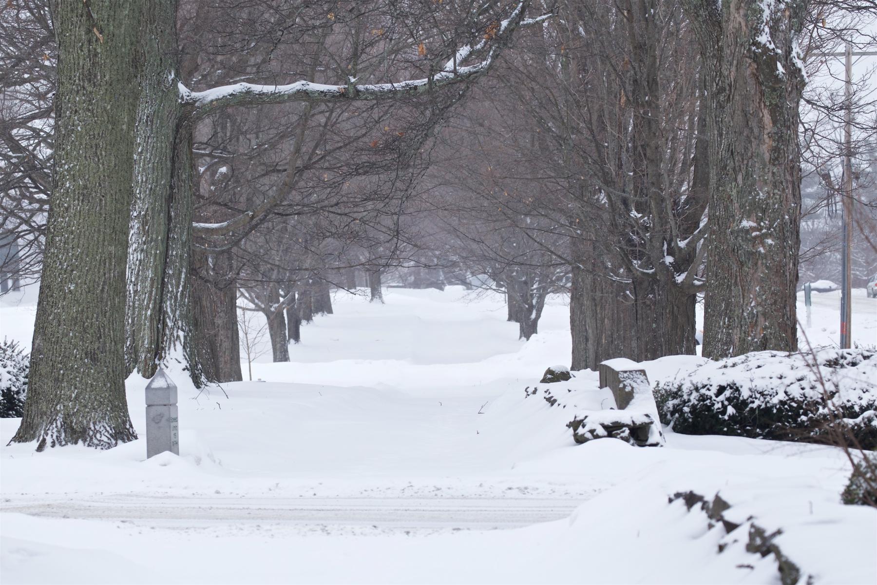 Winter, snow, Randolph Center campus, oak trees