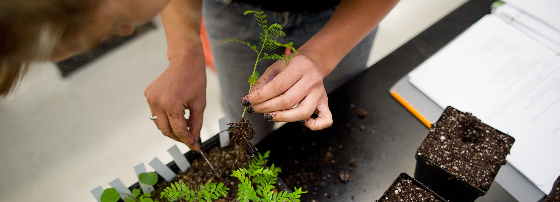 student planting, plants, agriculture